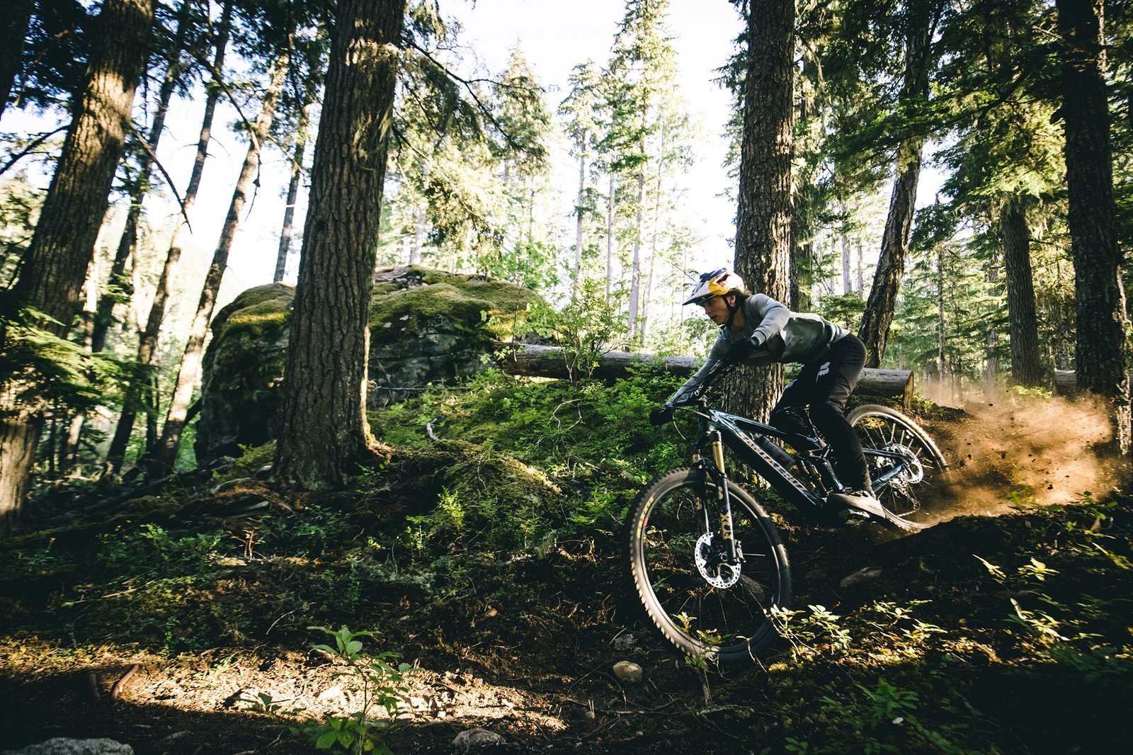 Santa Cruz Vala C MX 90 - immagine 5