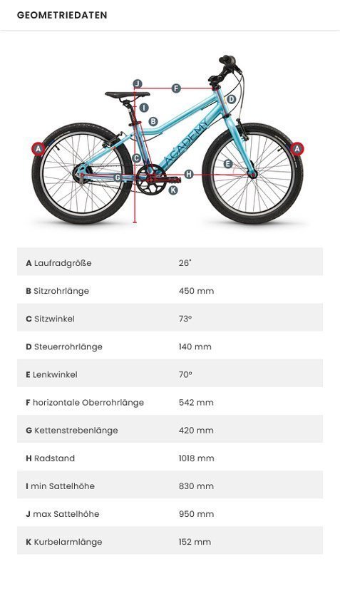 ACADEMY Grado 6 Bicicletta per bambini con cintura - immagine 3